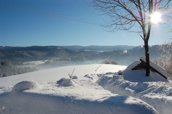 WISA - zimowy krajobraz