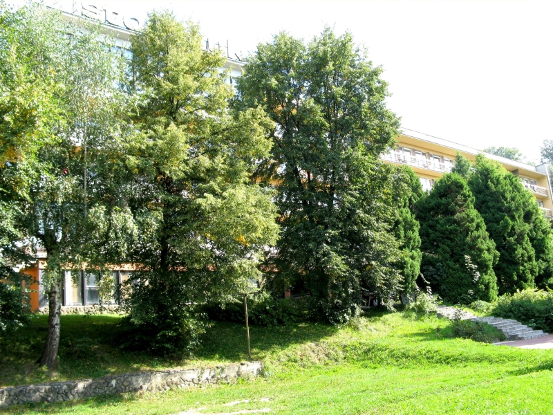DW STORCZYK - budynek